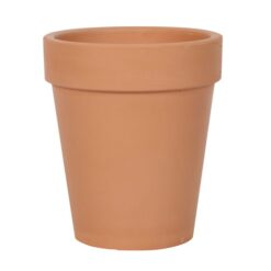 Alternative view of Bloom Where You Are Planted Terracotta Plant Pot