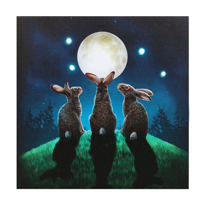 Moon Shadows Light Up Canvas Plaque by Lisa Parker Moon Shadows Light Up Canvas Plaque by Lisa Parker