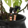 Set of 2 Witch Leg Plant Pot Ornaments Set of 2 Witch Leg Plant Pot Ornaments