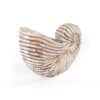 Whitewash Albasia Wood Shell Ornament