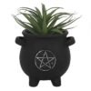 Pentagram Cauldron Plant Pot Pentagram Cauldron Plant Pot