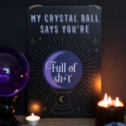 Alternative view of My Crystal Ball Says... Metal Sign