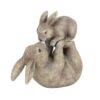 Some Bunny Loves You Ornament