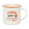 Pumpkin Spice Enamel Mug