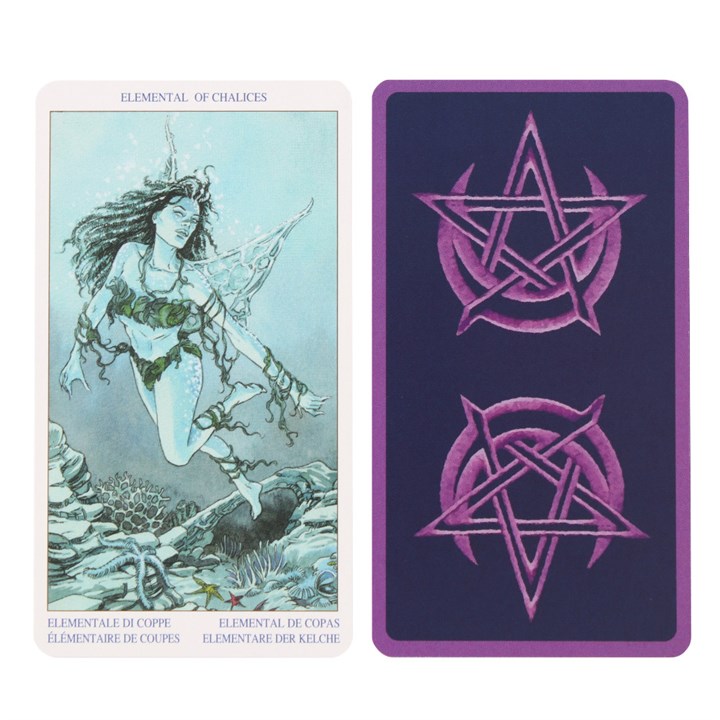 Pagan Tarot Card Deck Pagan Tarot Card Deck - Image 2