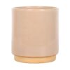 Cream Speckle Blooming Fabulous Plant Pot