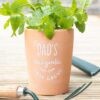Dad's Garden Terracotta Plant Pot Dad's Garden Terracotta Plant Pot