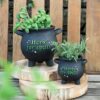 Large Herbs For Spells Cauldron Plant Pot Large Herbs For Spells Cauldron Plant Pot