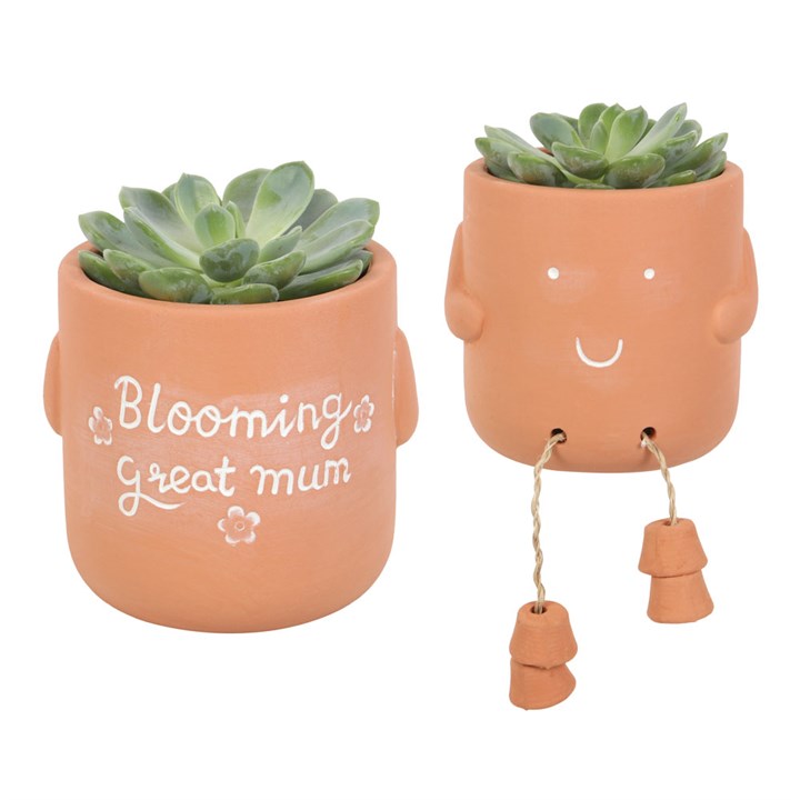 Blooming Great Mum Sitting Plant Pot Pal Blooming Great Mum Sitting Plant Pot Pal