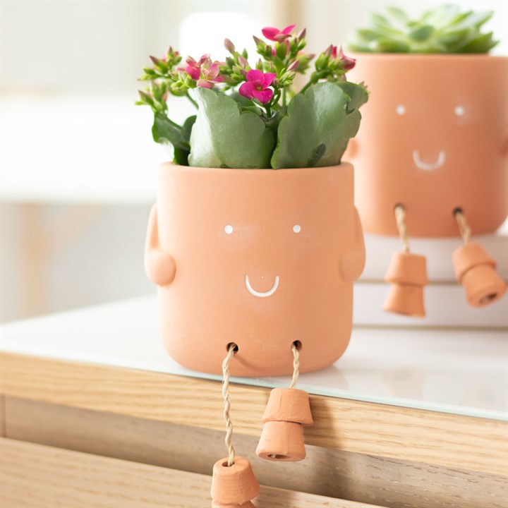 Blooming Great Mum Sitting Plant Pot Pal Blooming Great Mum Sitting Plant Pot Pal - Image 6