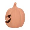 12.5cm Terracotta Pumpkin Ornament 12.5cm Terracotta Pumpkin Ornament