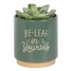Green Be-Leaf in Yourself Plant Pot Green Be-Leaf in Yourself Plant Pot