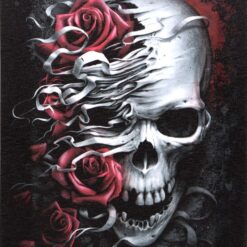 Alternative view of 19x25cm Skulls n Roses Canvas Plaque by Spiral Direct