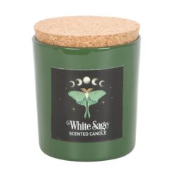 Alternative view of Luna Moth White Sage Candle