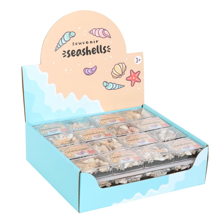 Set of 48 Souvenir Sea Shell Boxes Set of 48 Souvenir Sea Shell Boxes - Image 2