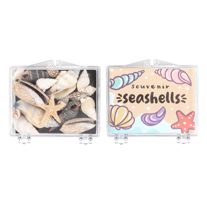 Set of 48 Souvenir Sea Shell Boxes Set of 48 Souvenir Sea Shell Boxes - Image 3