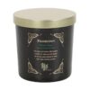 'Rise of the Witches' Protection Candle by Lisa Parker