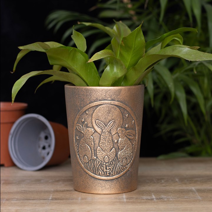 Moon Shadows Bronze Terracotta Plant Pot by Lisa Parker Moon Shadows Bronze Terracotta Plant Pot by Lisa Parker - Image 4