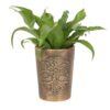 Tree of Life Bronze Terracotta Plant Pot by Lisa Parker Tree of Life Bronze Terracotta Plant Pot by Lisa Parker