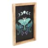 Luna Moth Wooden Framed Wall Art