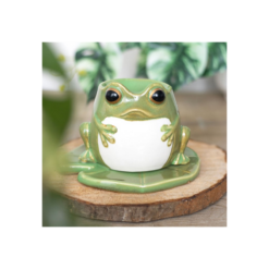 Alternative view of Frog Shaped Oil Burner on Lily Pad
