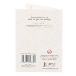 Alternative view of Lucky Beetle Necklace Card