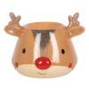 Reindeer Oil Burner