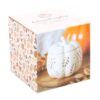 Off White Autumn Leaves Pumpkin Oil Burner Off White Autumn Leaves Pumpkin Oil Burner
