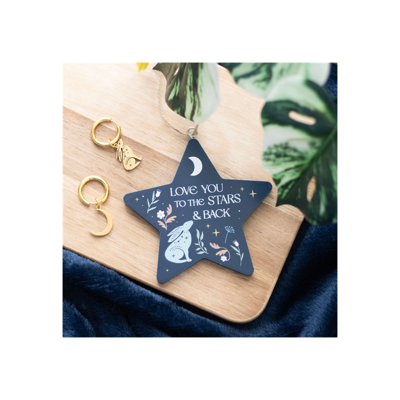 Love You to the Stars and Back Hare Hanging Decoration Love You to the Stars and Back Hare Hanging Decoration - Image 4