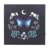 Night Owl Light Up Canvas Plaque Night Owl Light Up Canvas Plaque