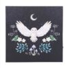 Midnight Moth Light Up Canvas Plaque