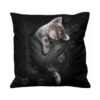 40cm Square Pocket Kitten Cushion by Spiral Direct
