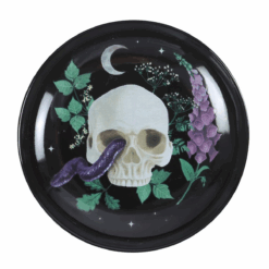 Alternative view of Venom & Vines Skull Trinket Dish
