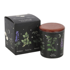 Alternative view of Deadly Nightshade Scented Candle