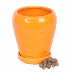 Alternative view of Carrot Shaped Plant Pot with Parsley Seed Balls