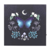 Midnight Moth Light Up Canvas Plaque Midnight Moth Light Up Canvas Plaque