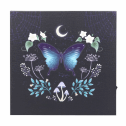 Alternative view of Midnight Moth Light Up Canvas Plaque