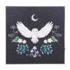Night Owl Light Up Canvas Plaque