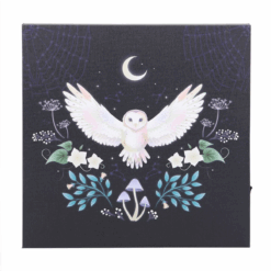 Alternative view of Night Owl Light Up Canvas Plaque