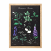 Poisonous Plants Framed Wall Art Print