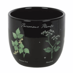 Alternative view of Poisonous Plants Plant Pot