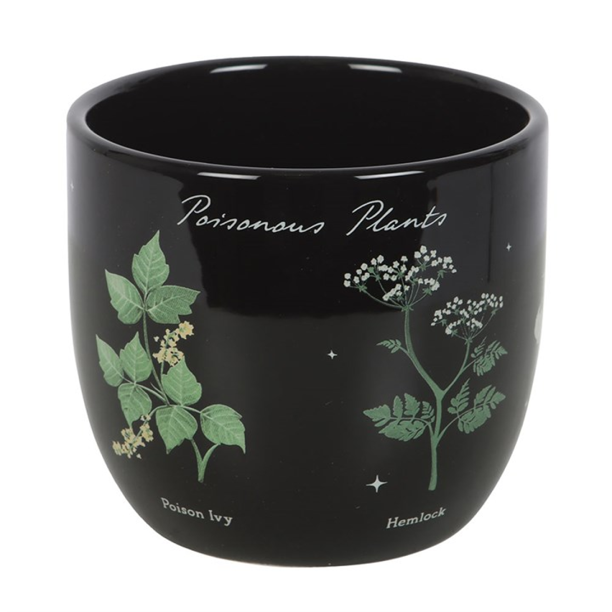 Poisonous Plants Plant Pot Poisonous Plants Plant Pot - Image 2