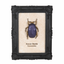 Alternative view of Scarab Beetle Framed Wall Art Print