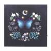Midnight Moth Light Up Canvas Plaque Midnight Moth Light Up Canvas Plaque