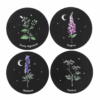 Poisonous Plants Coaster Set