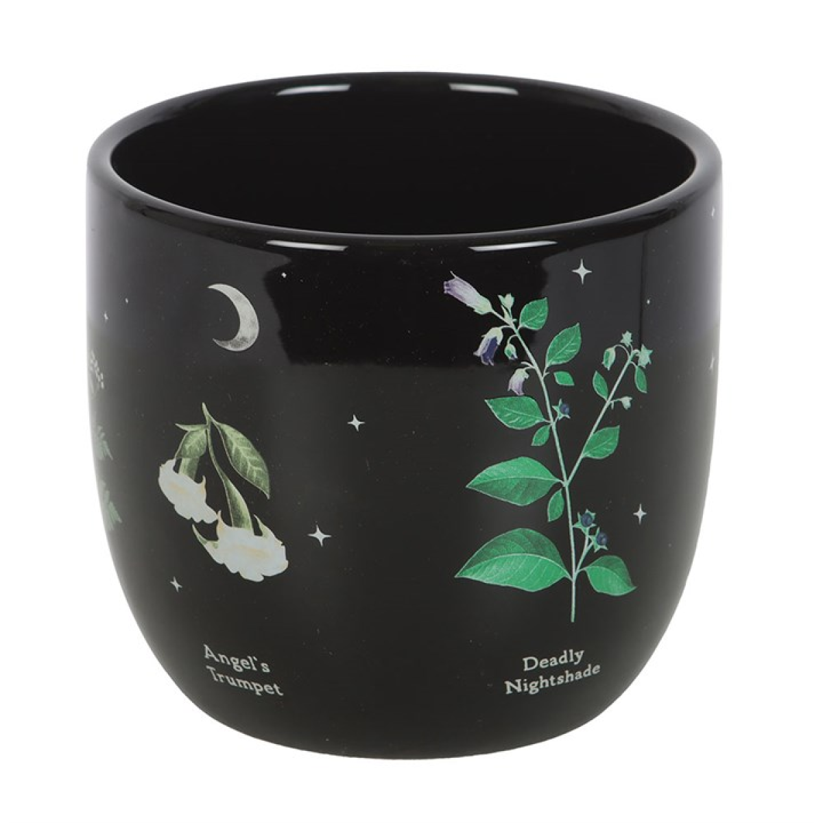 Poisonous Plants Plant Pot Poisonous Plants Plant Pot - Image 3