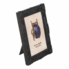 Scarab Beetle Framed Wall Art Print