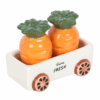 Carrot Salt and Pepper Shakers in Wagon Carrot Salt and Pepper Shakers in Wagon