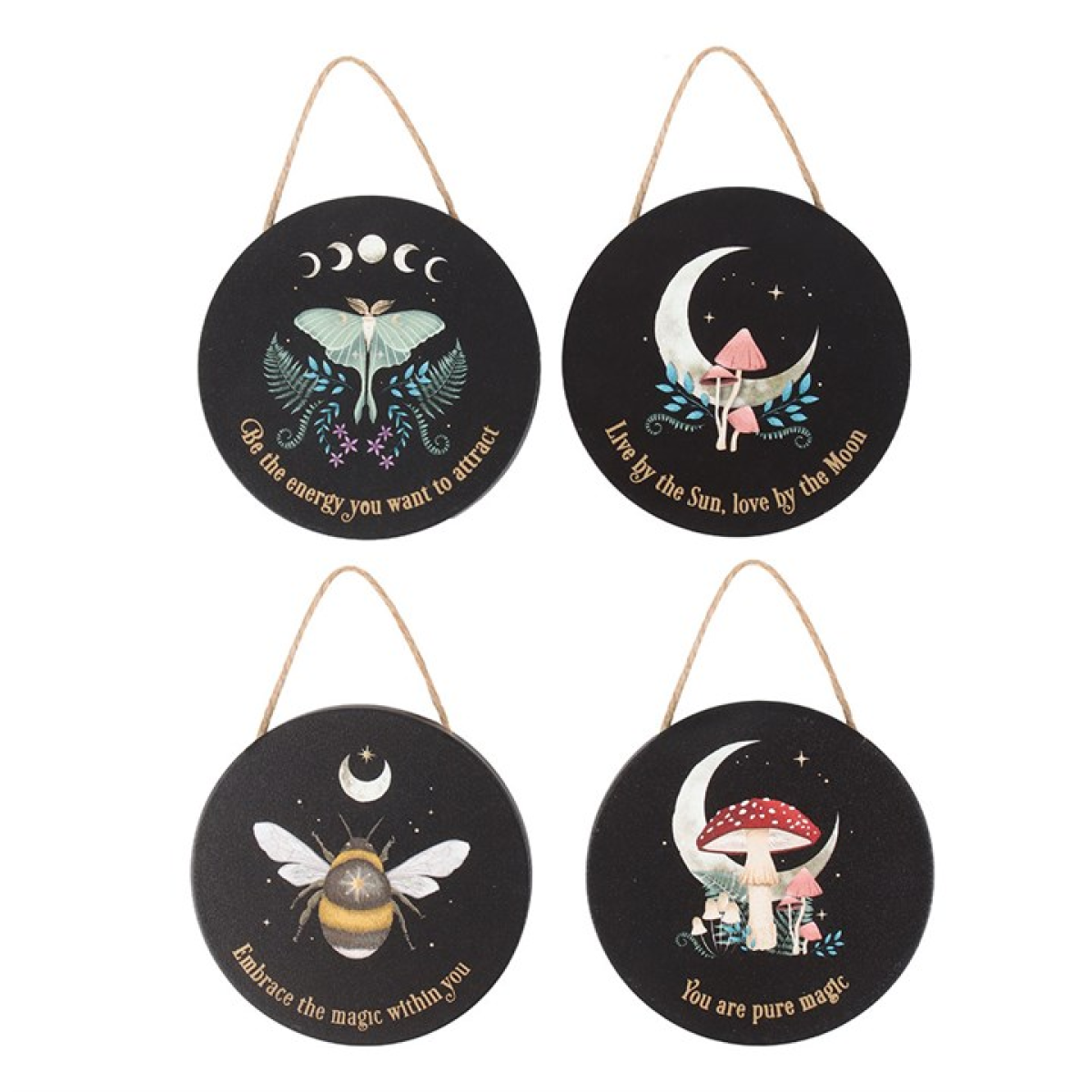 Set of 24 Dark Forest Signs on Display Set of 24 Dark Forest Signs on Display - Image 4