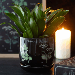 Poisonous Plants Plant Pot